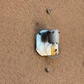 Wall Light Cover - Mid Century Modern